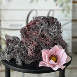 Dried Purple Sea Moss