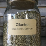 Cilantro