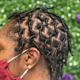 Starter Locs Consultation