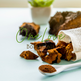 Chaga Powder