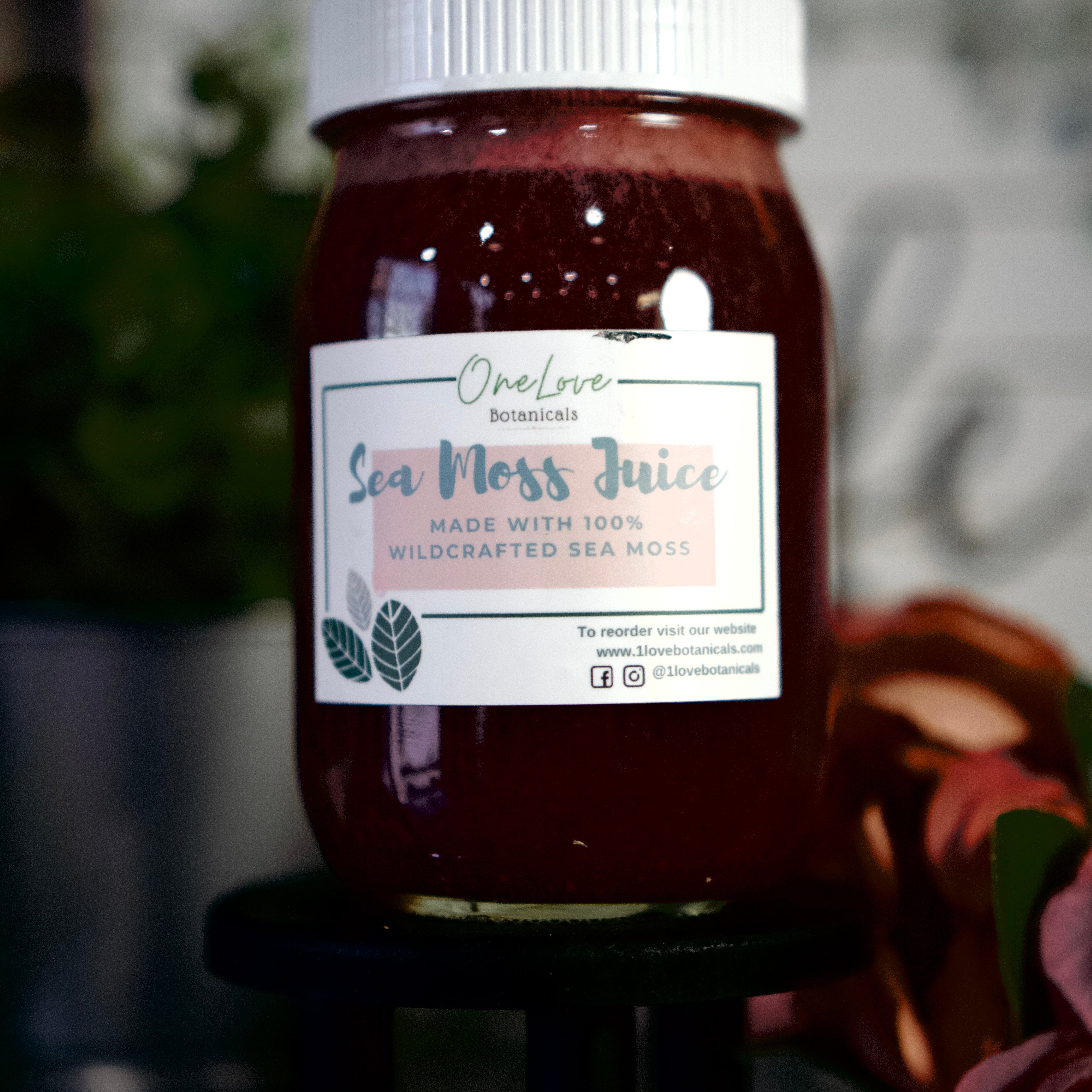 Sea Moss, Sea Moss & Sea Moss