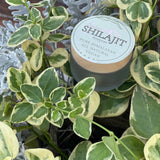 Shilajit Powder