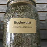 Bugleweed
