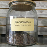 Bladderwrack
