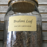 Brahmi Leaf