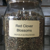 Red Clover Blossom