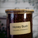 Honey Bush