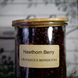 Hawthorn Berry