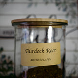 Burdock Root