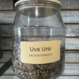 Uva Ursi